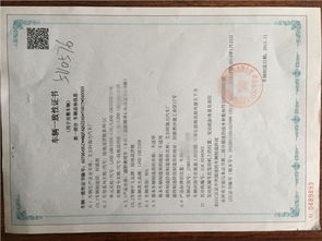 平行进口车上牌及车辆手续全攻略 票据信息咨询服务详解